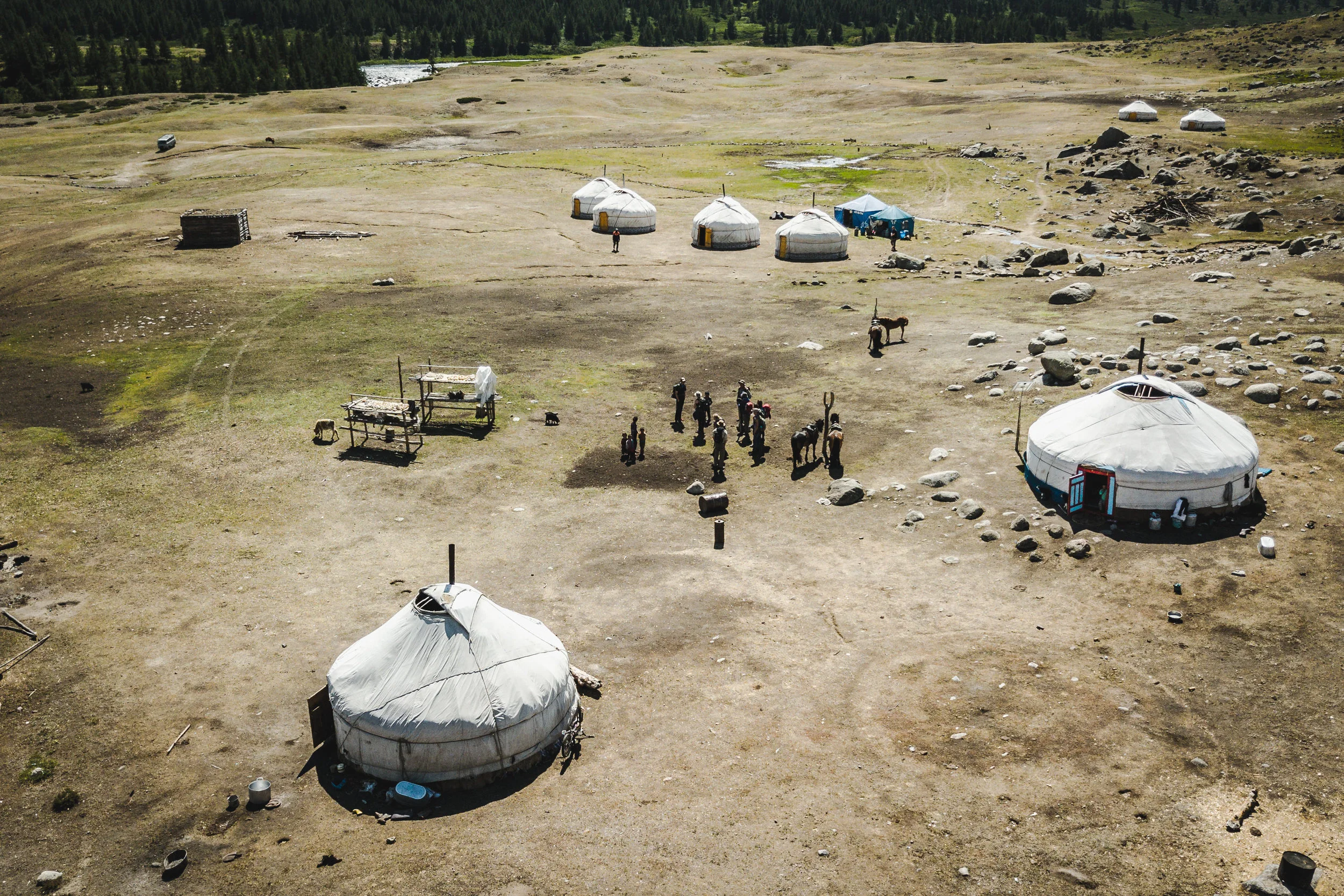 FoundLost Triple A 20.JPG