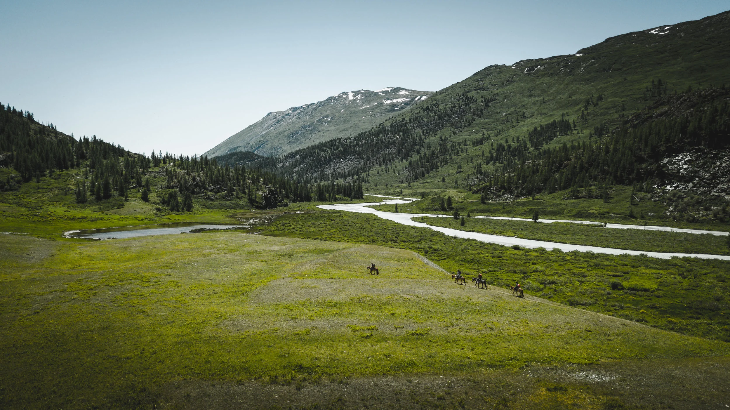 FoundLost Triple A 8.JPG