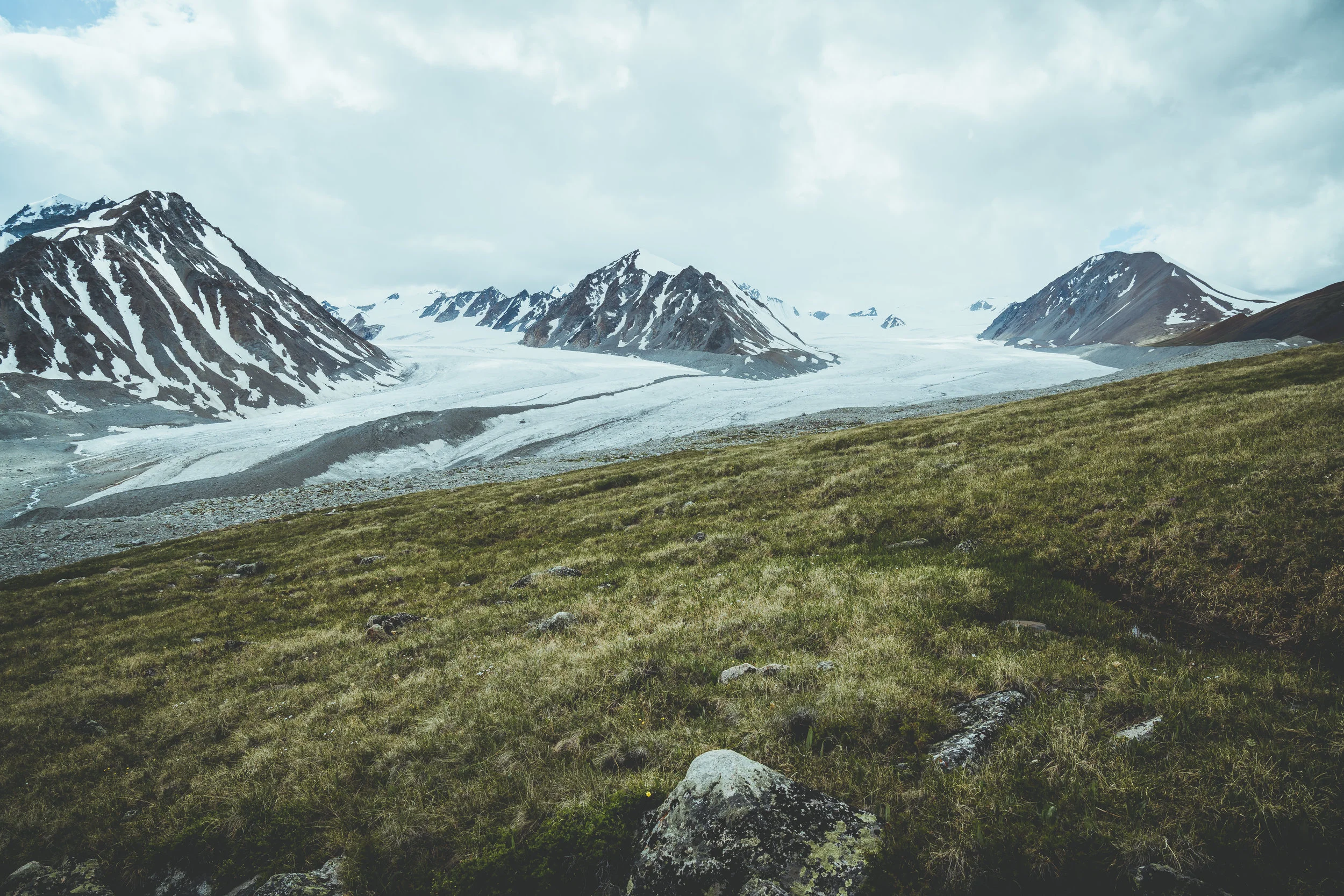 FoundLost Triple A 15.JPG