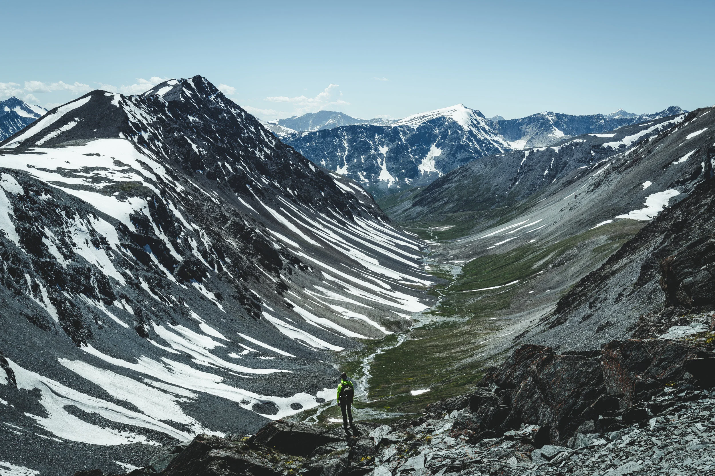 FoundLost Triple A 3.JPG