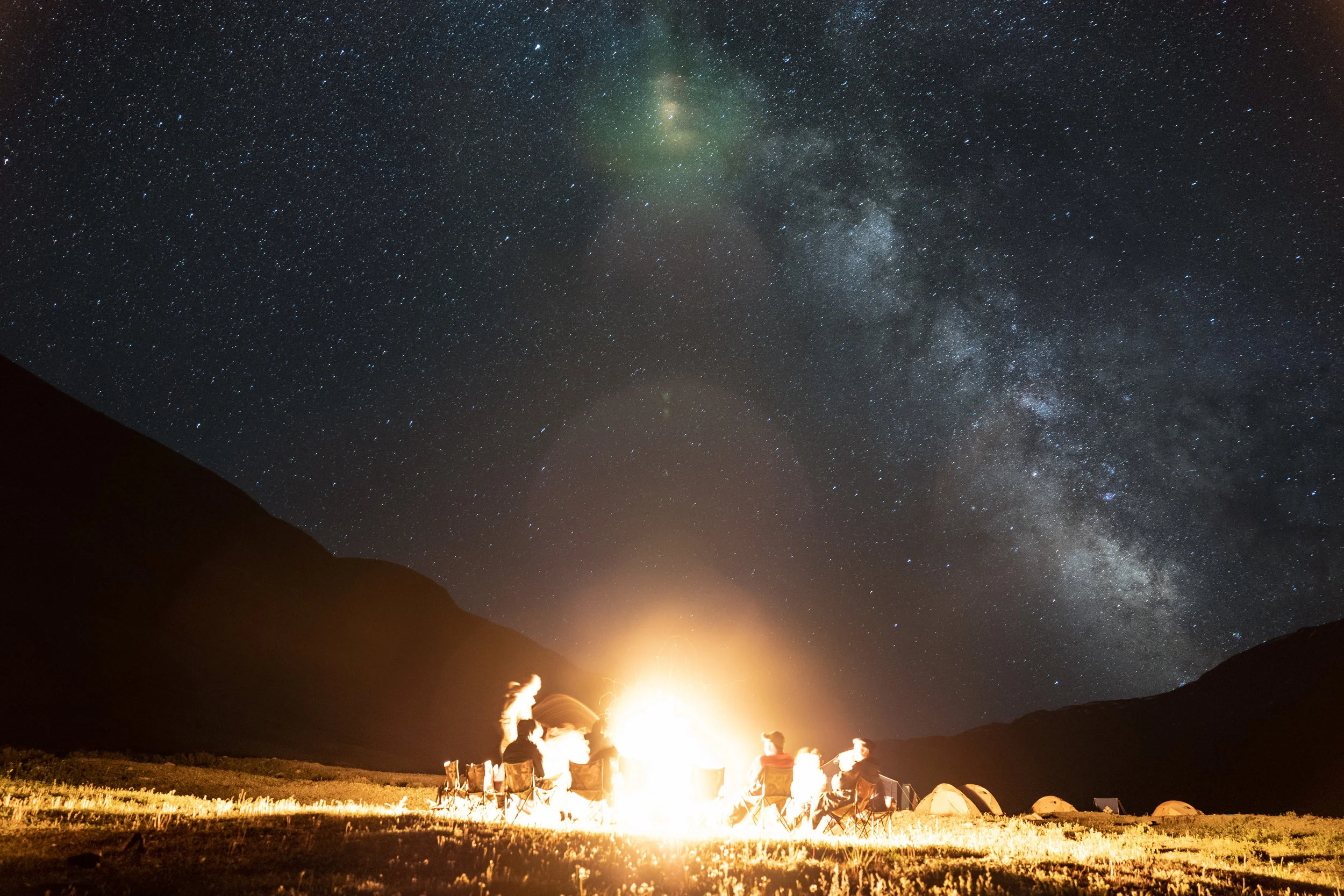 FoundLost Triple A 4.JPG