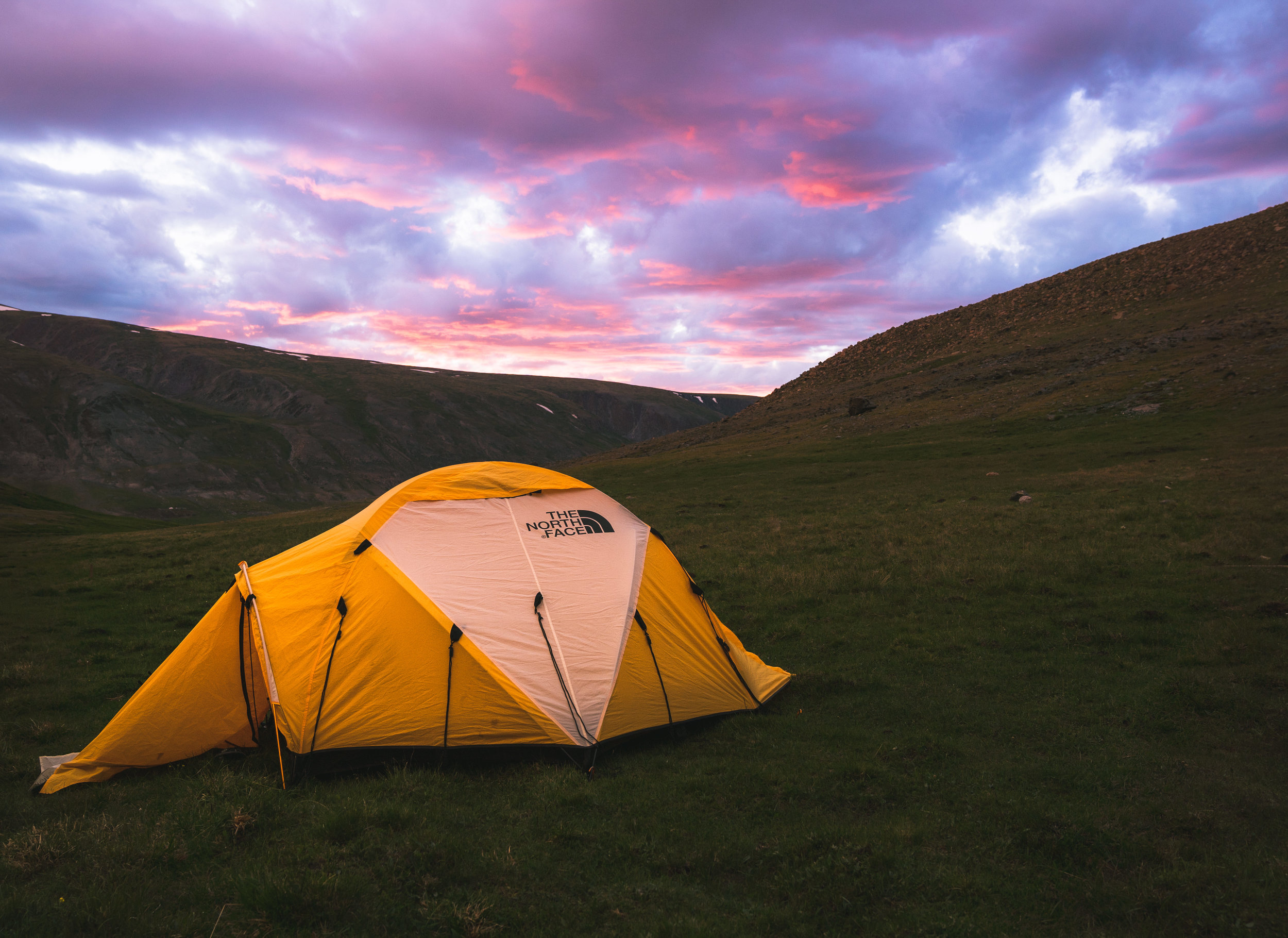 FoundLost Triple A 2.JPG