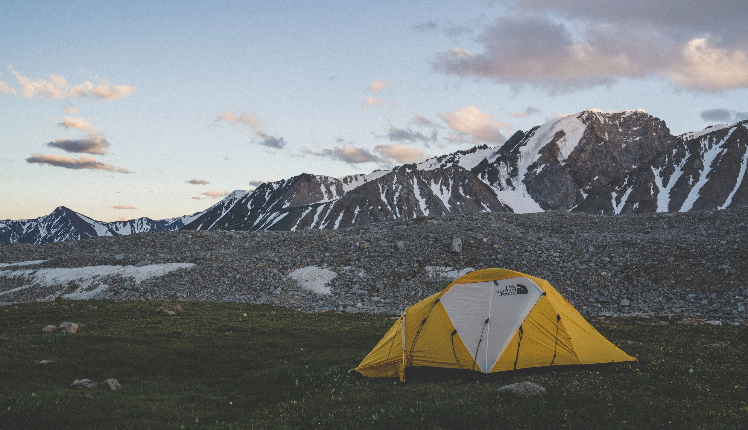 FoundLost Triple A 1.JPG