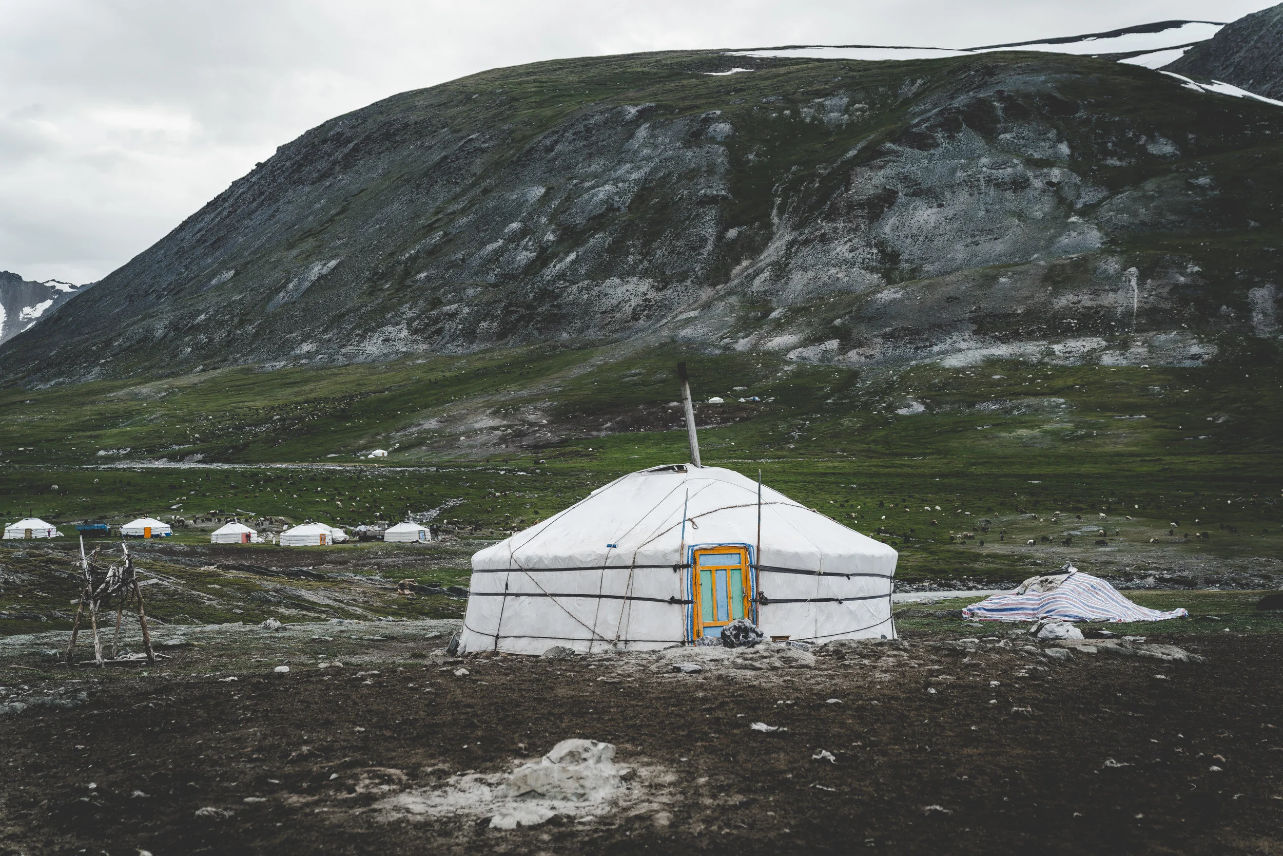 FoundLost Triple A 5.JPG