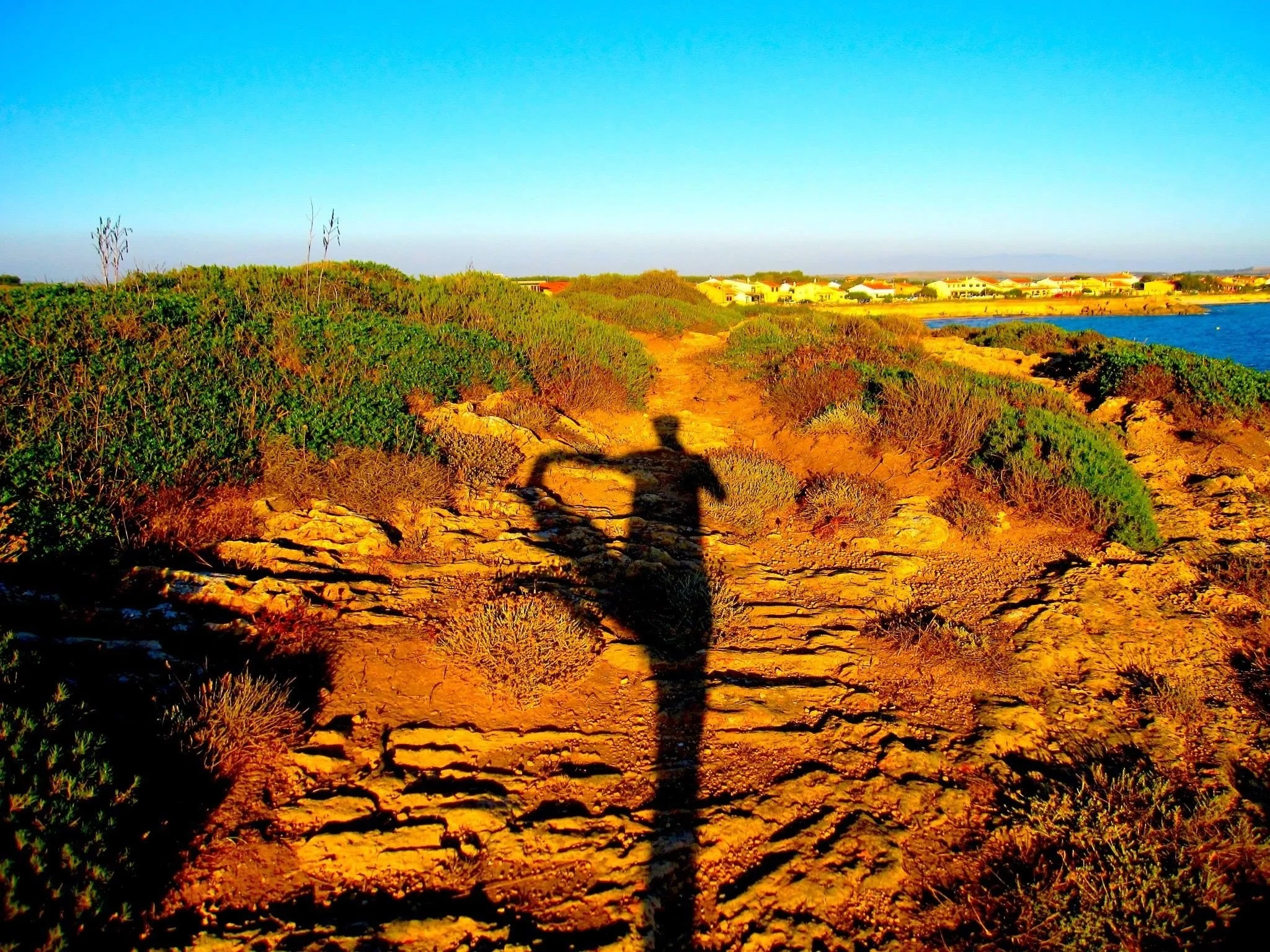 Human’s journey through asanas