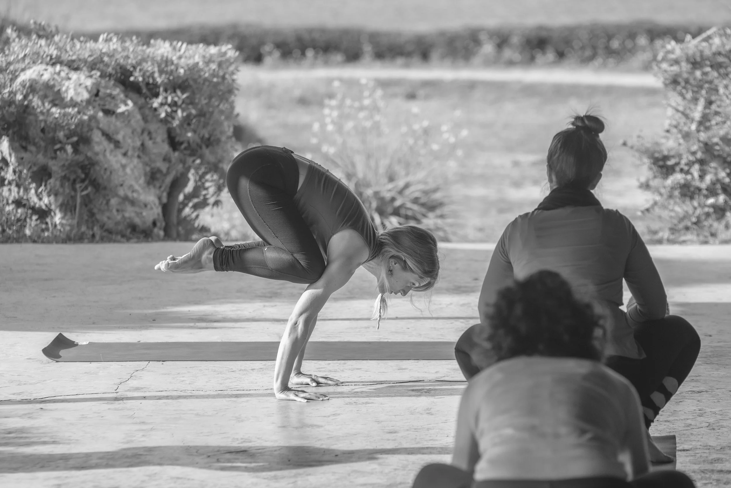 Flying like a Pigeon