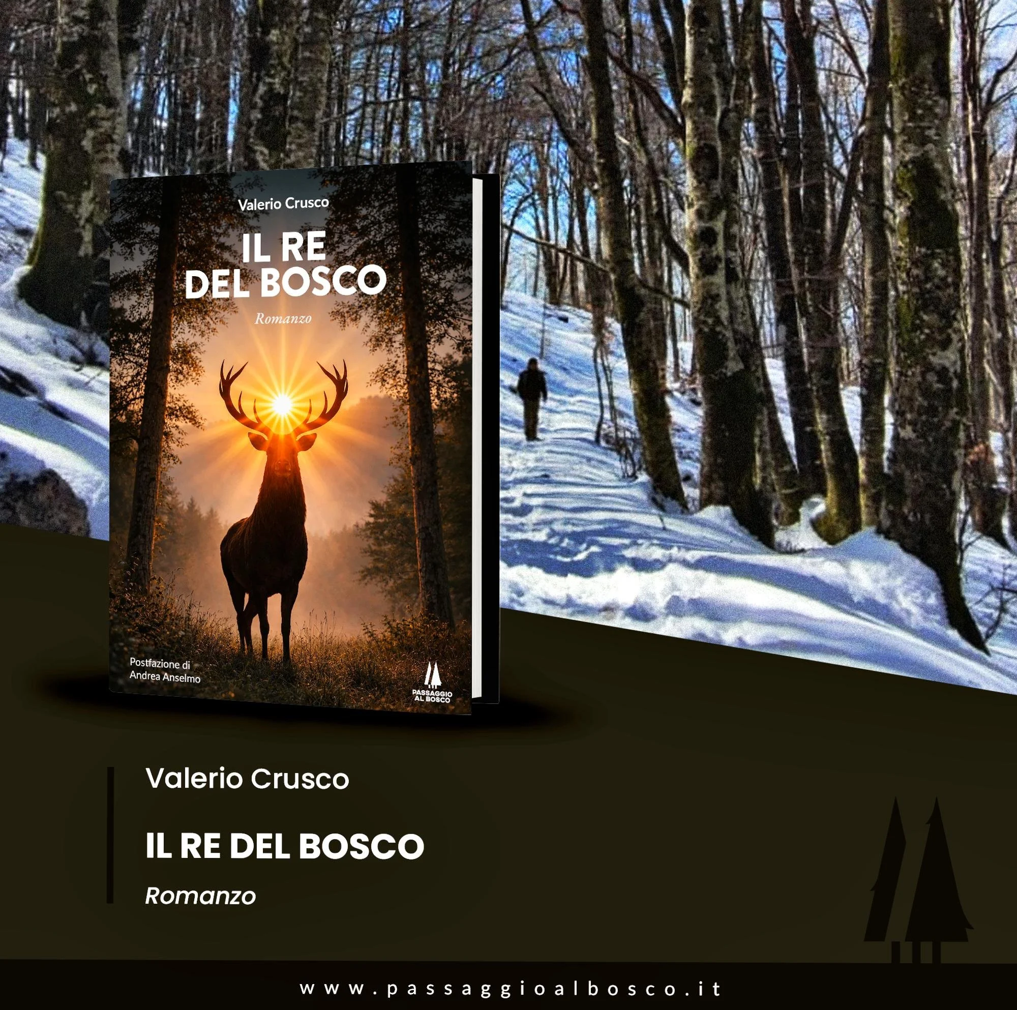 Il Re del Bosco