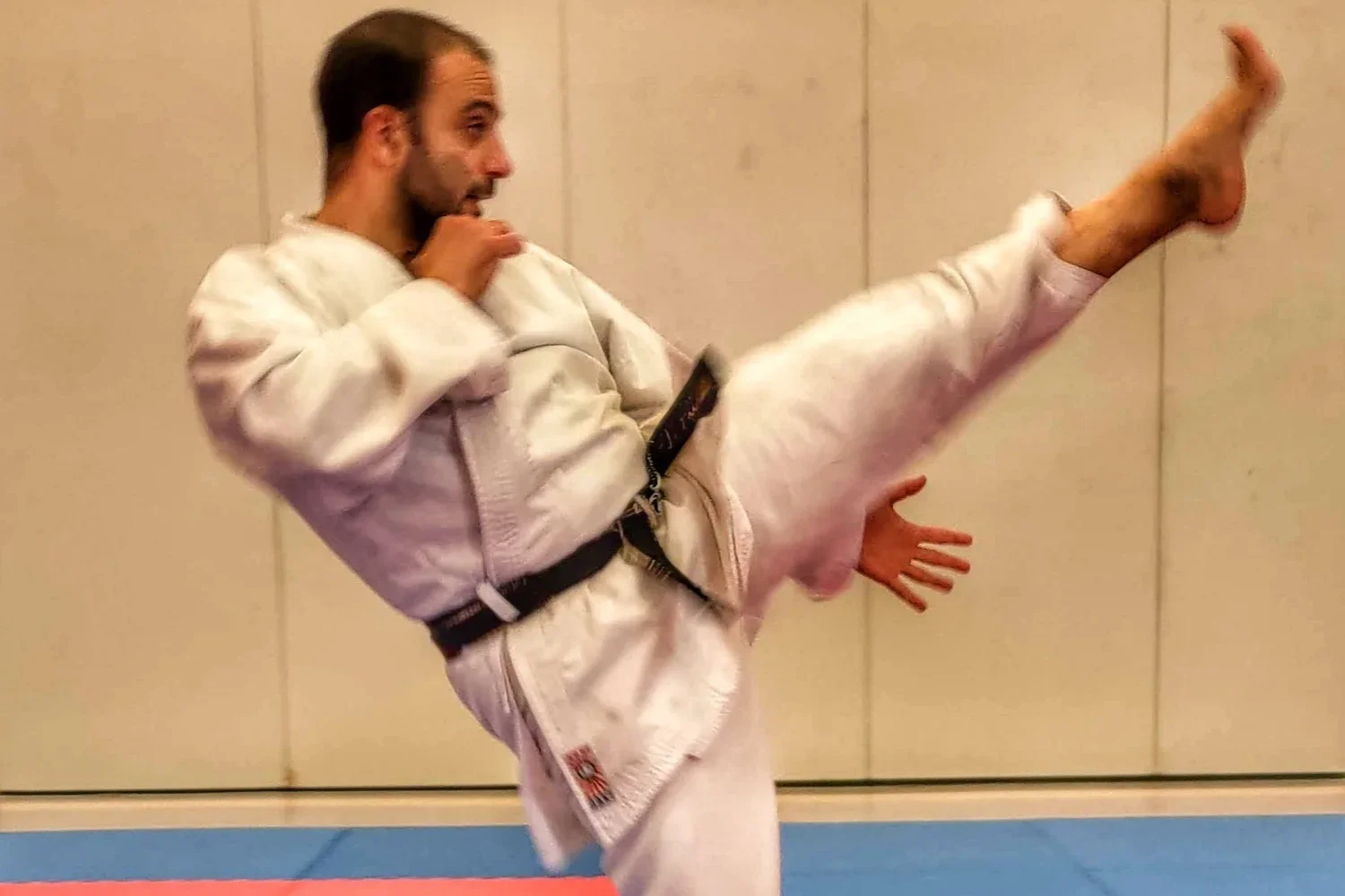 Wild Kumite