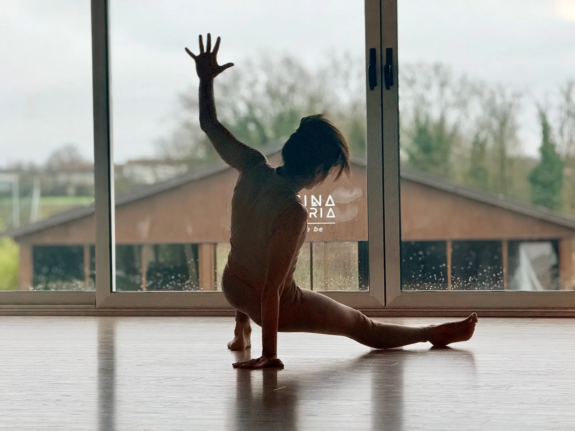 YogAnimal Motion