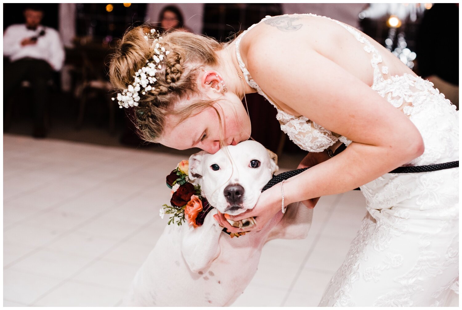 Bride with dog at Sundara wedding