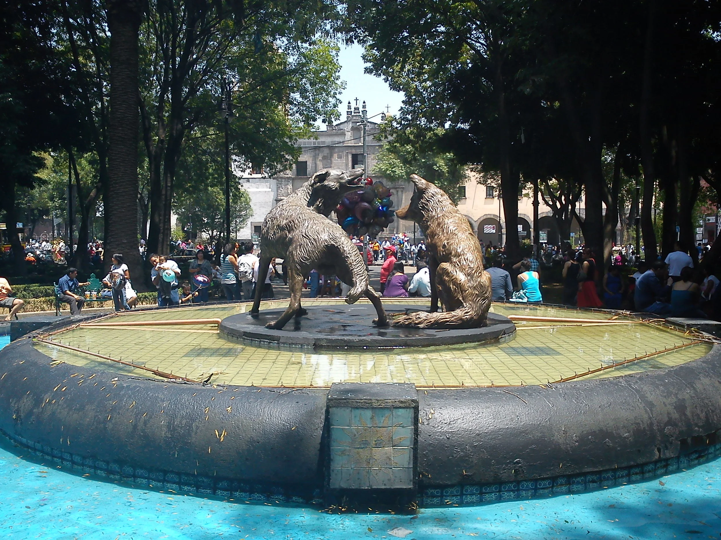 dsc01165.jpg