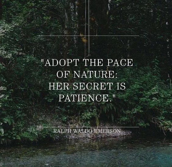emerson quote 3.jpg