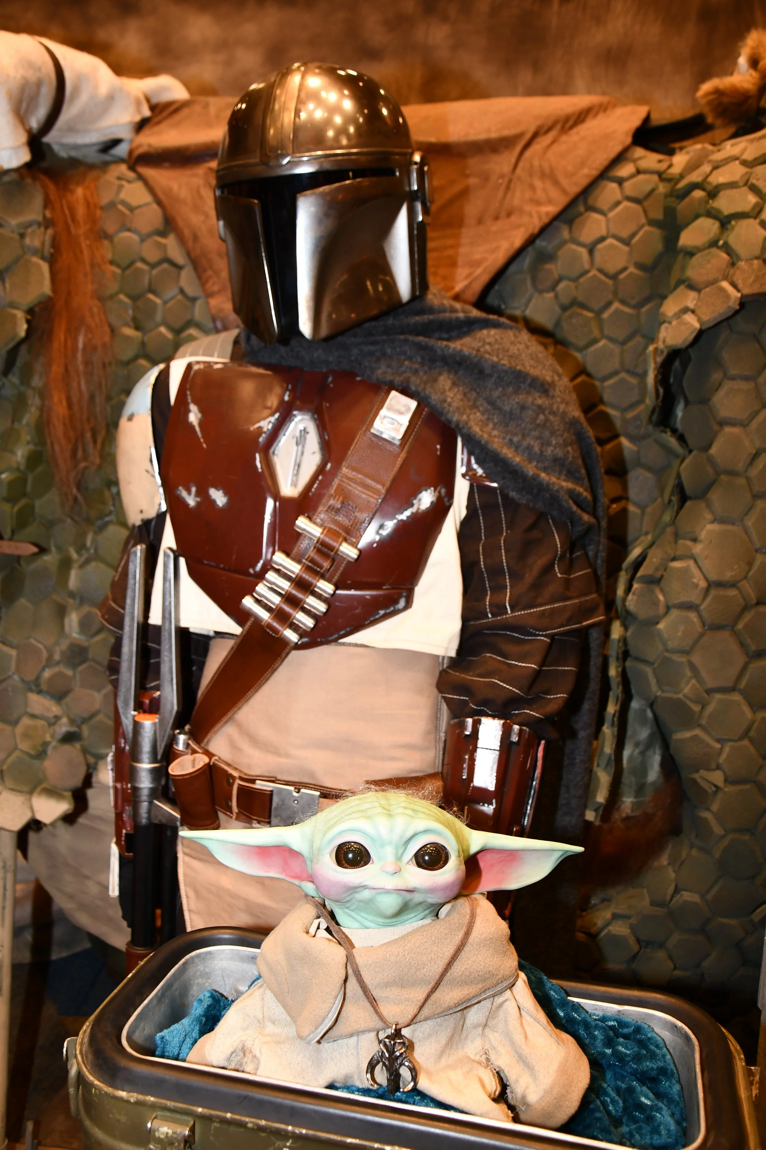 DSC_0205 - Copy.JPG