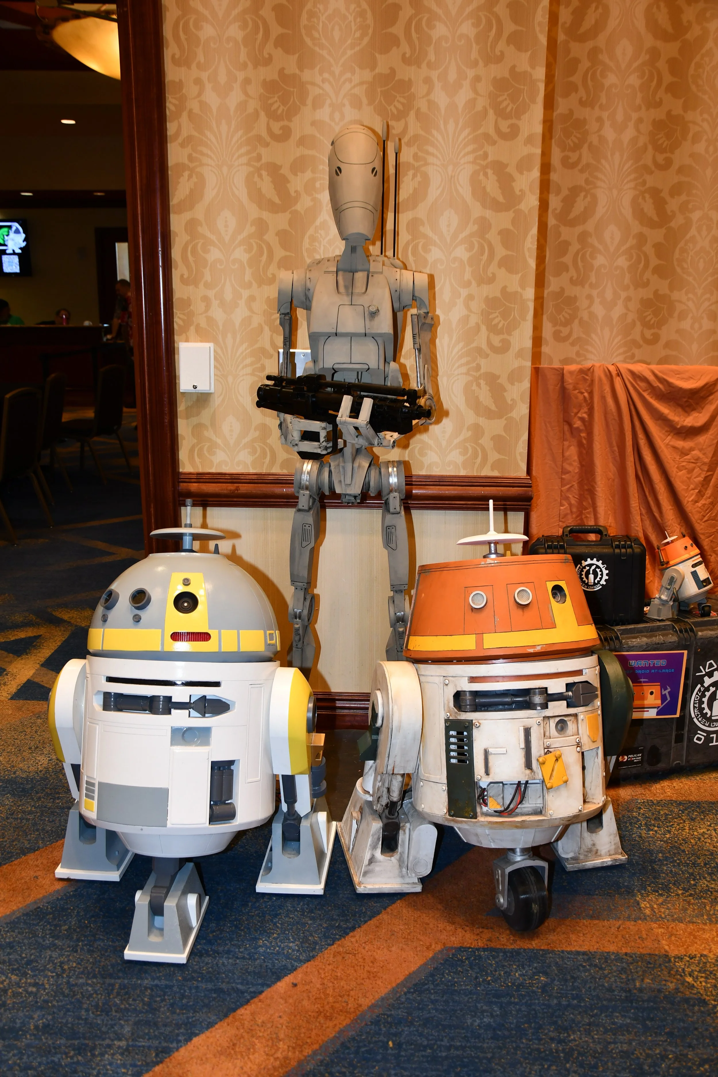 DSC_0374 - Copy.JPG