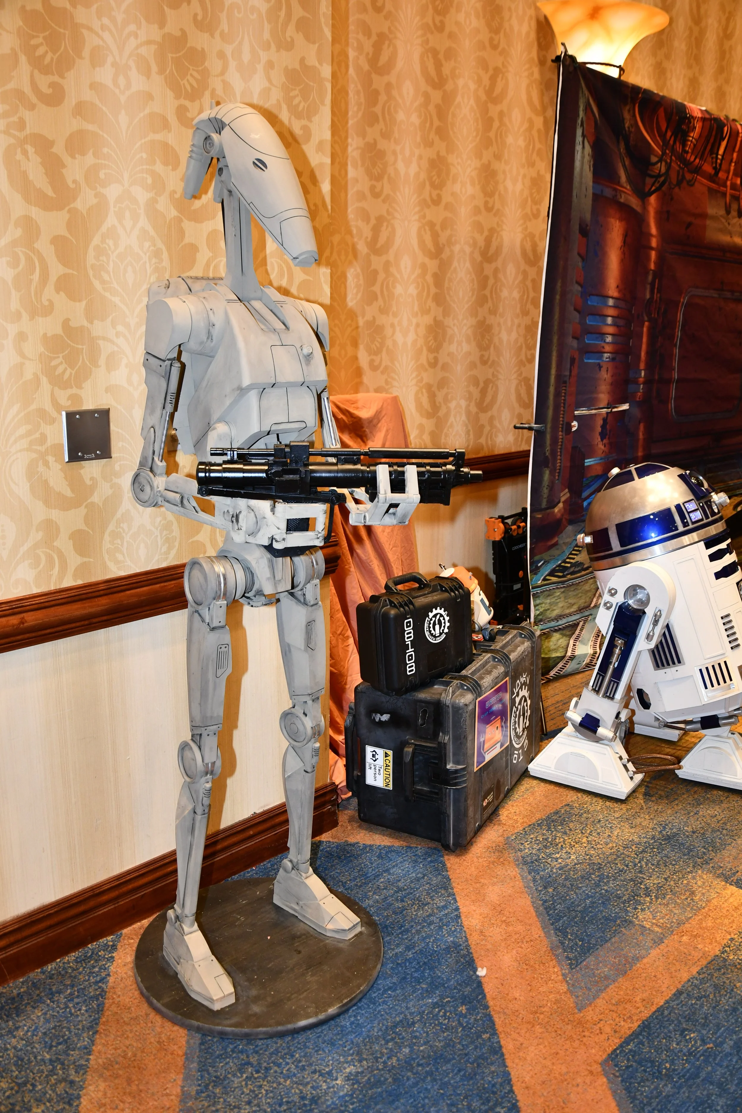 DSC_0416 - Copy.JPG