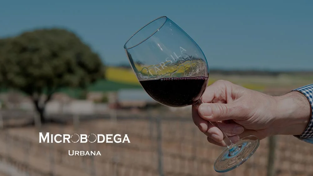 cata-vinos-microbodega-valladolid.jpg