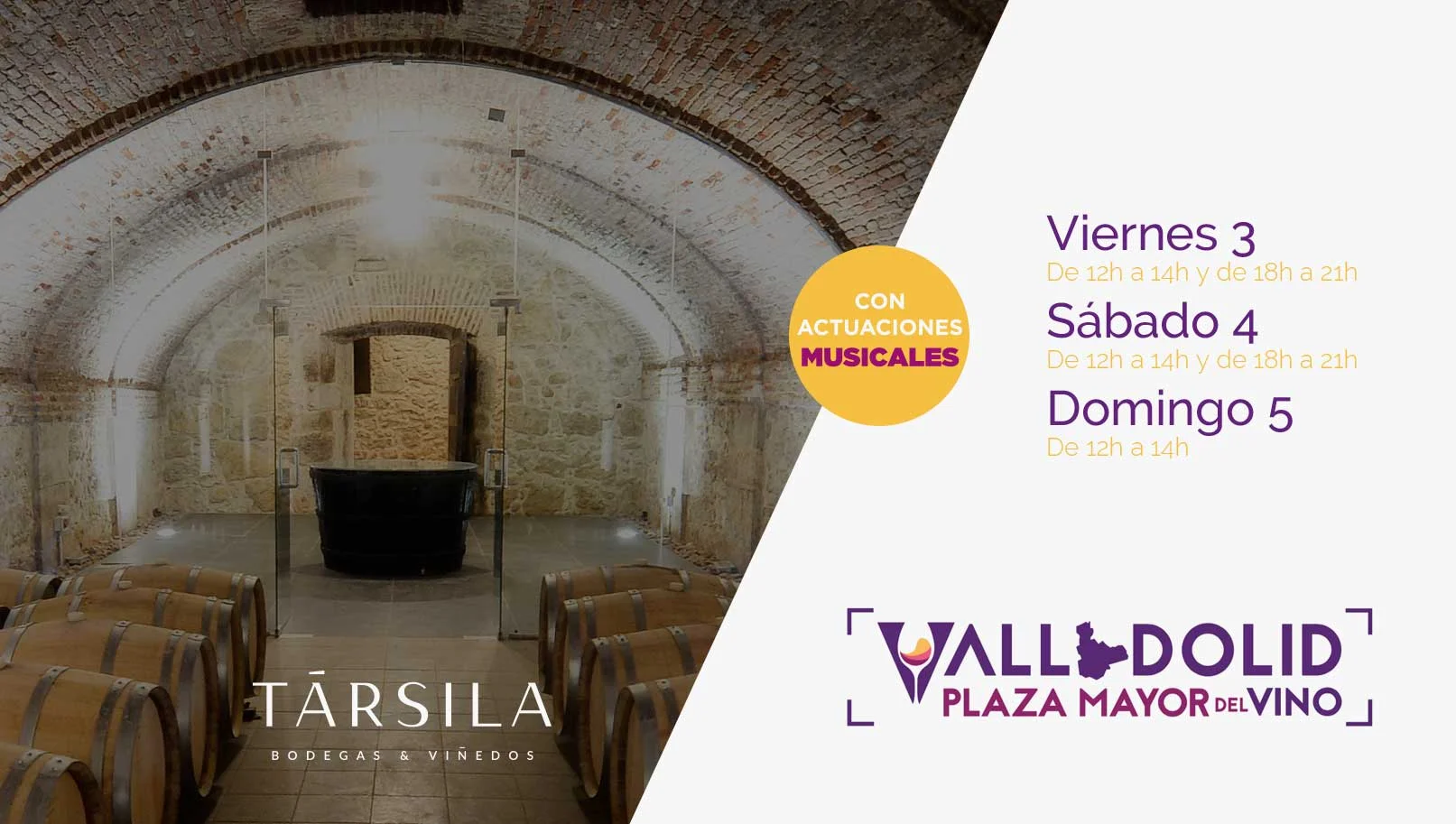 valladolid-vino-plaza-mayor-tarsila.jpg