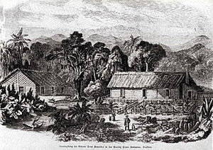 Primeira vista de Joinville, antes da fundação. Desenho de 1850 Xilogravura publicada na “Illustrierte Zeitung” de 1851&nbsp;