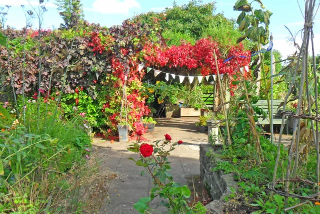 CHARITY: Herefordshire Growing Point