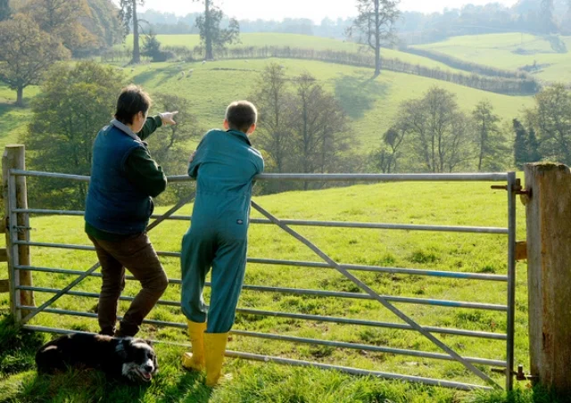 Surveying.jpeg