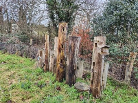 bug hotel.JPG