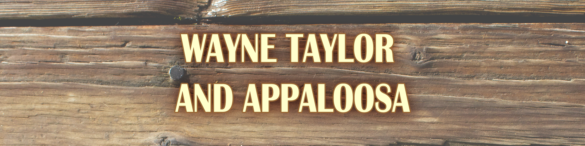 Appaloosa Page Banner.png