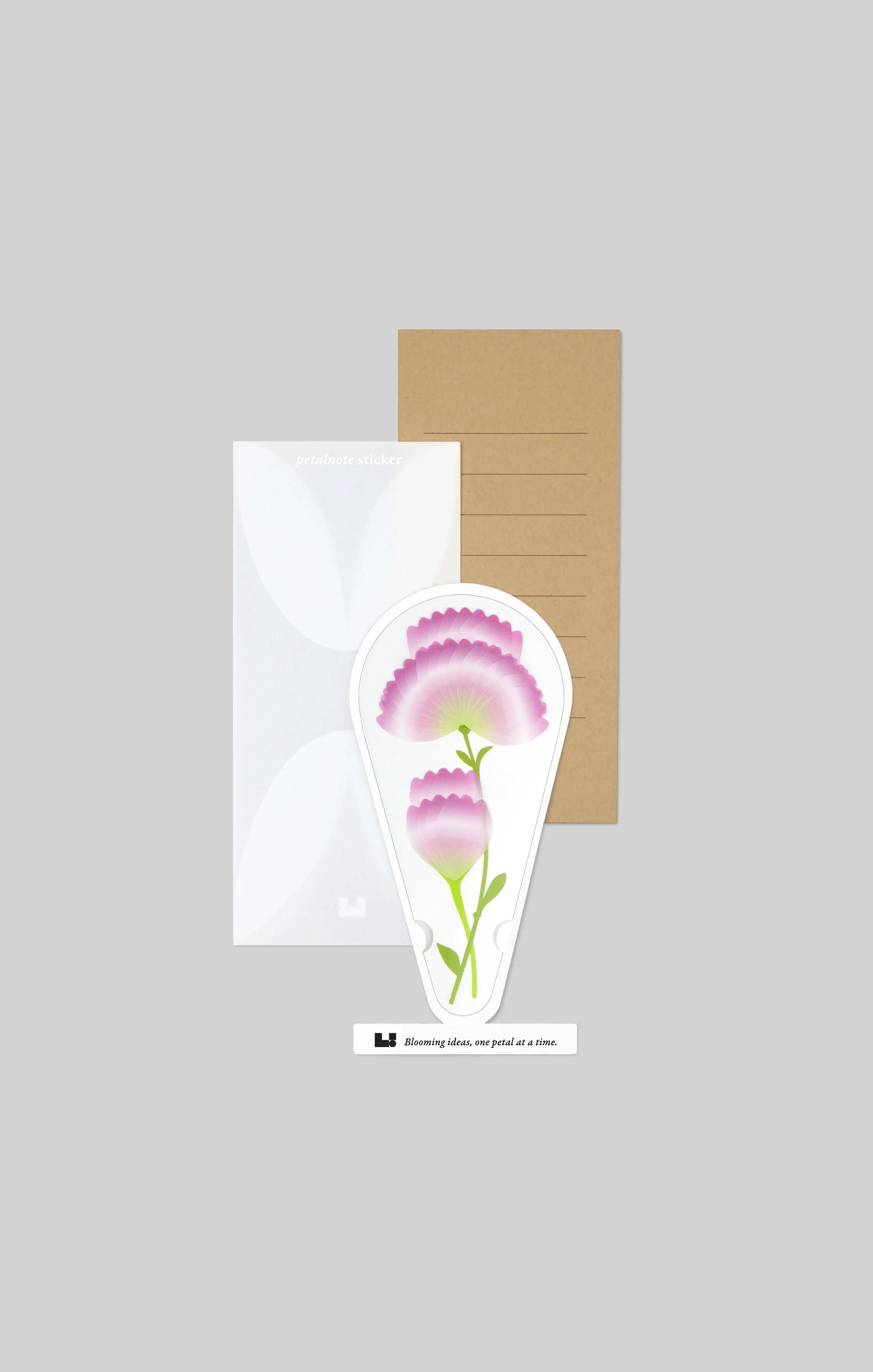 Petalnote — Carnation
