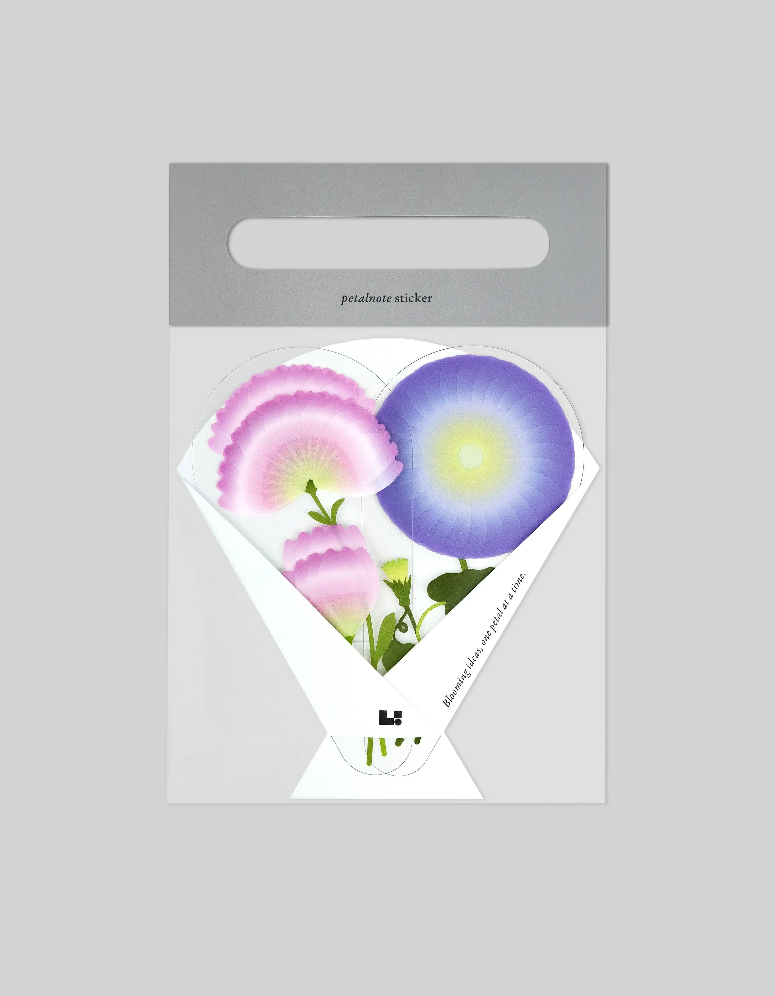 Petalnote--MorningGlory&Carnation.jpg