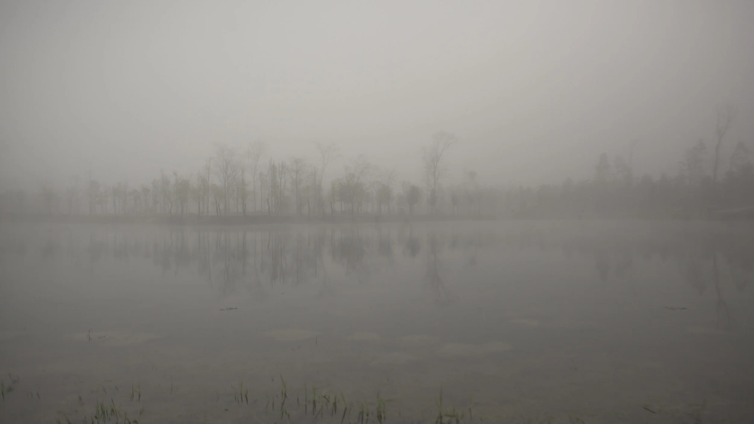 0044__MG_0599.jpg