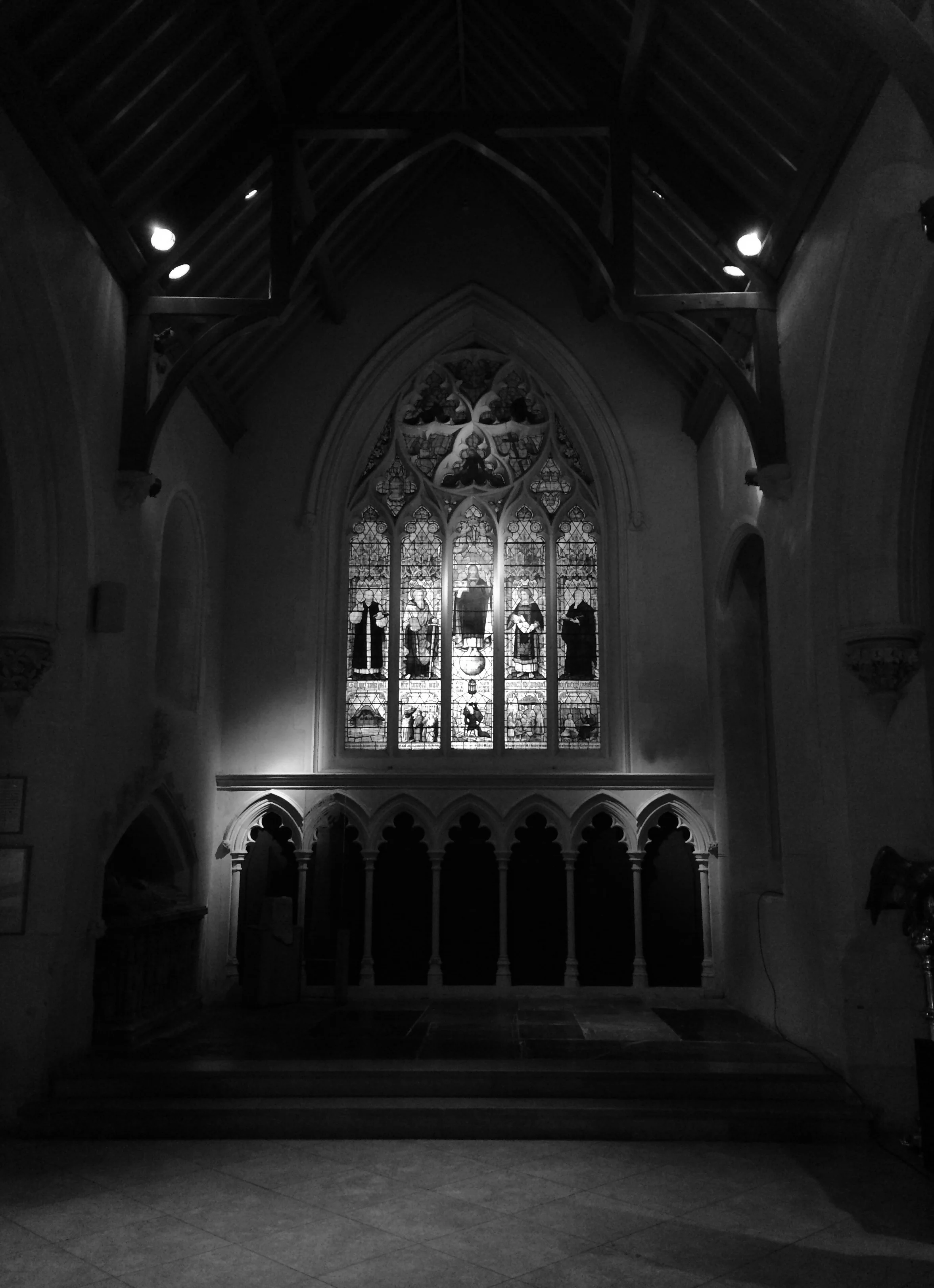 IMG_7648.jpg
