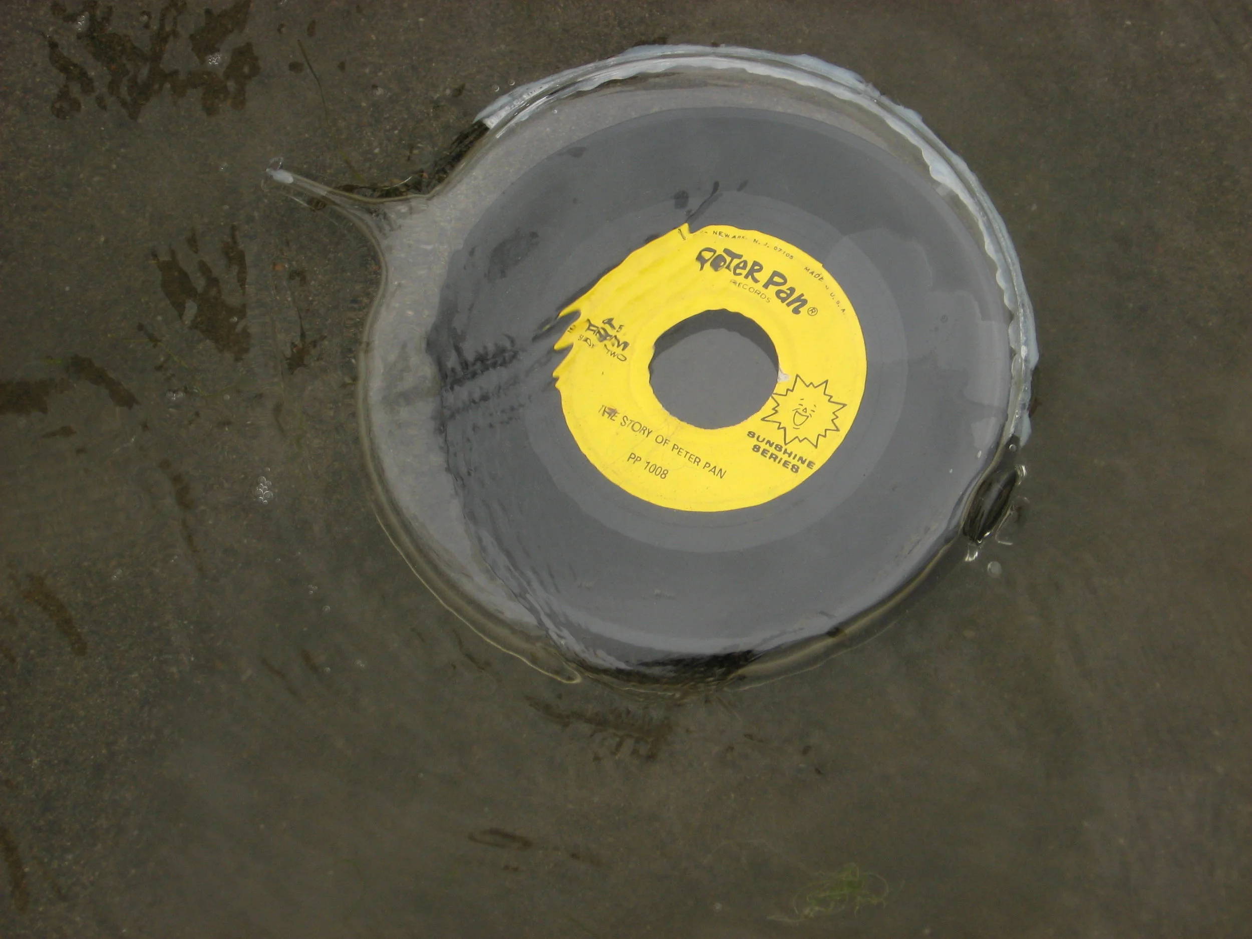   A Wish , A project by Niko Dimitrijevic 