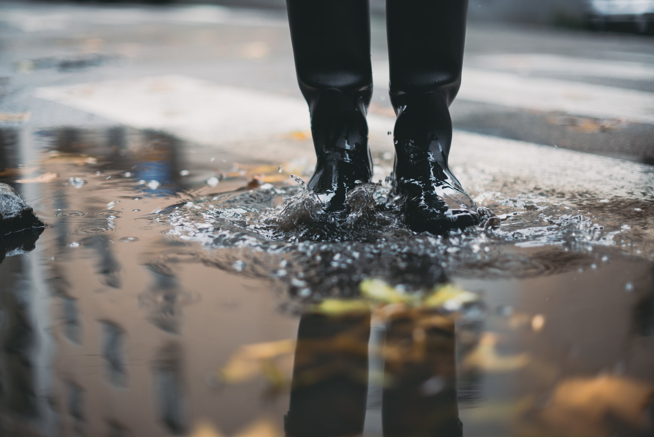 AdobeStock_127130833.jpeg