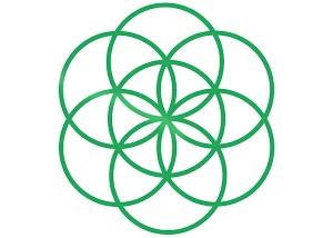 FlorVida-Pequeño.jpg