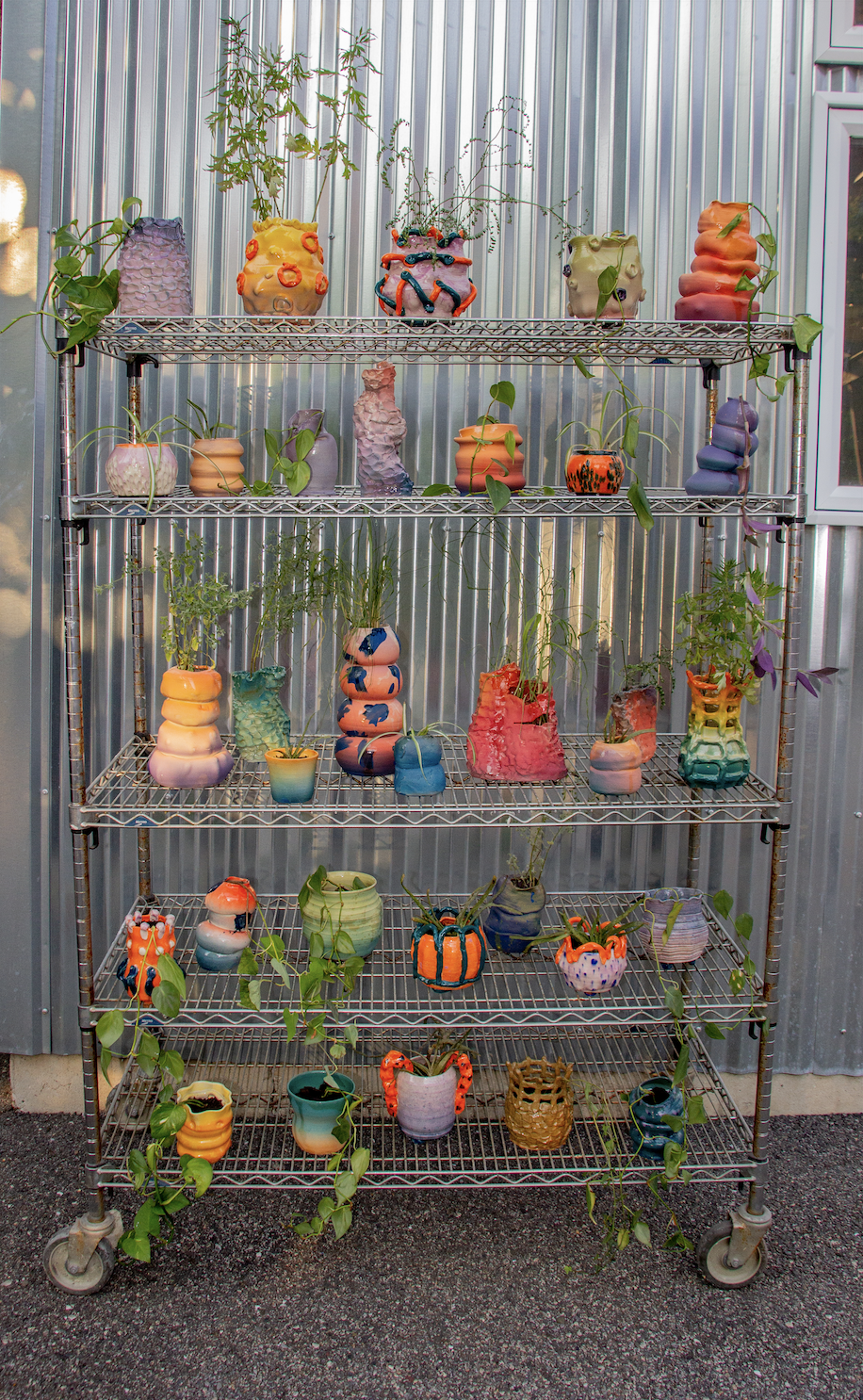 LimM.image3.jpg