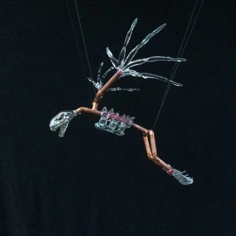 Band_Sarah_Fruit Bat.jpeg