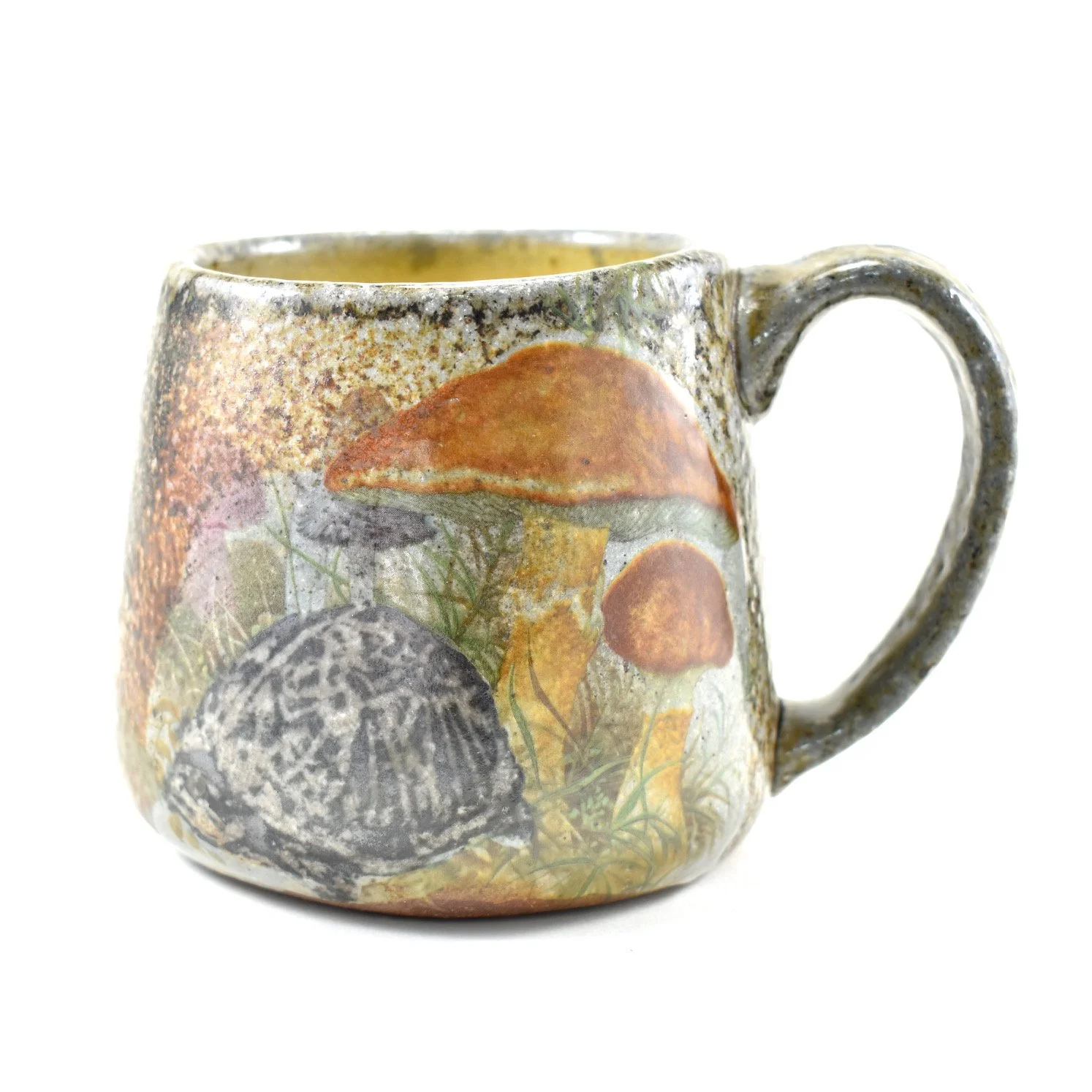 Turtle Mug.JPG