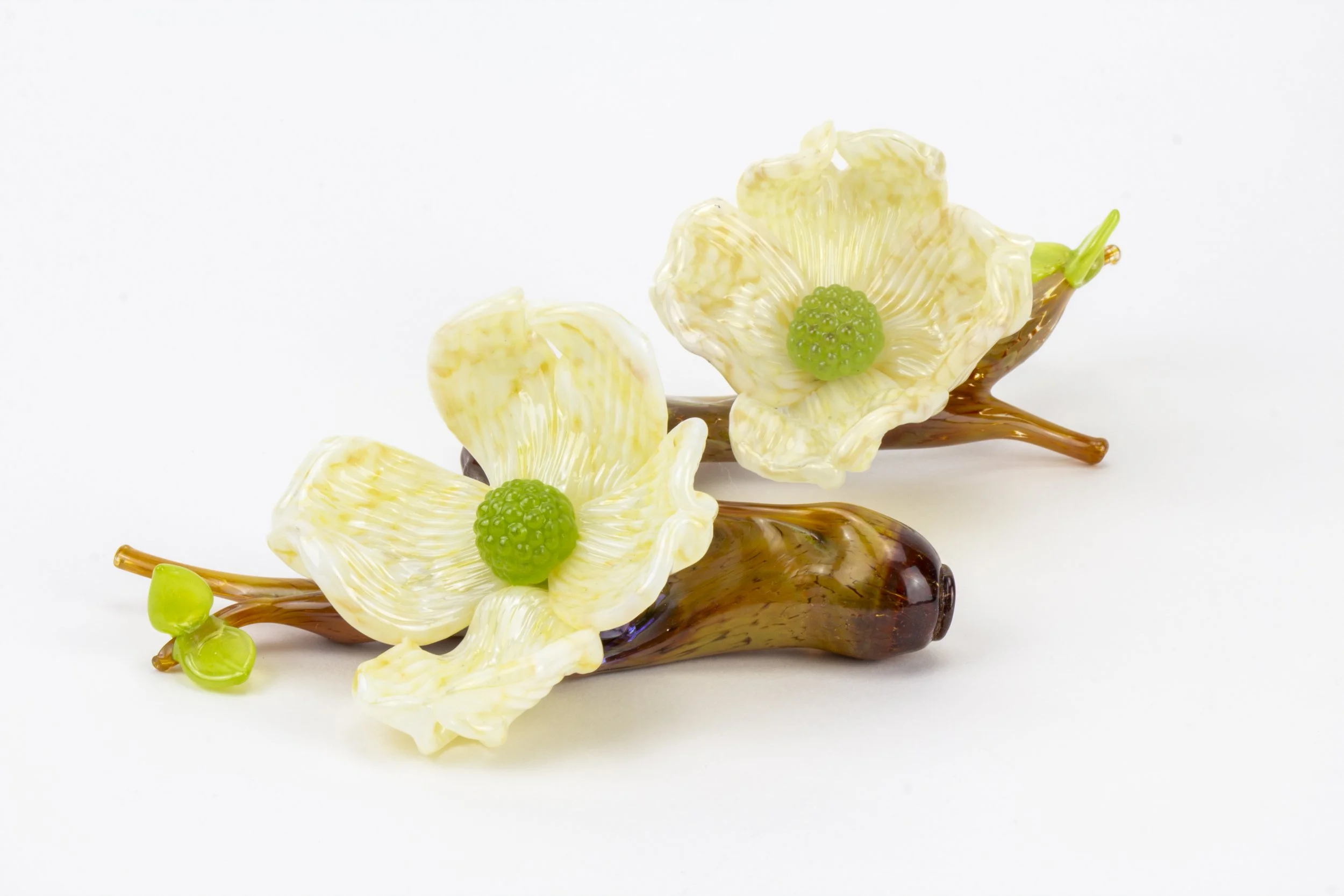 Dogwood-5.jpg