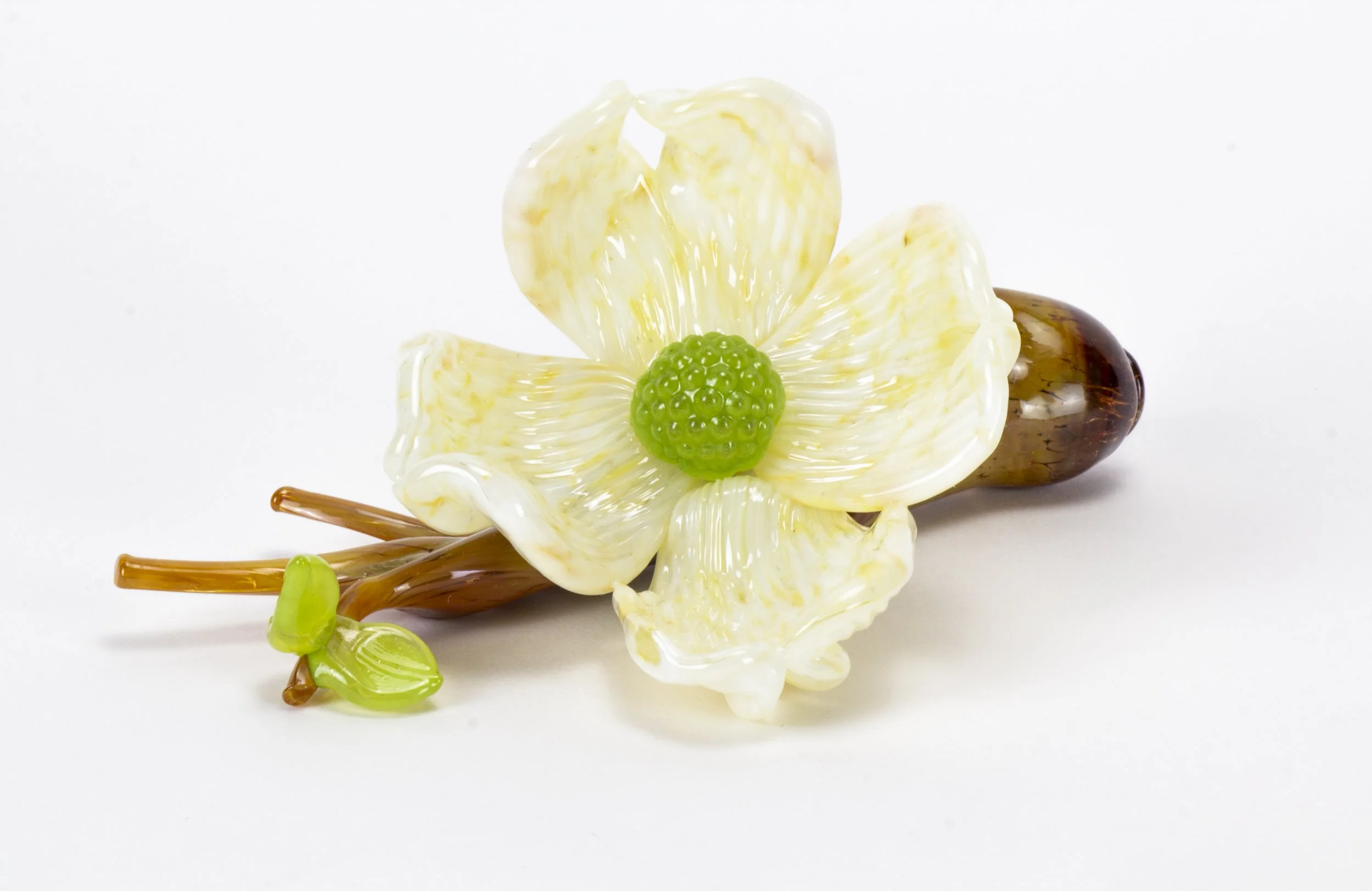 Dogwood-6.jpg