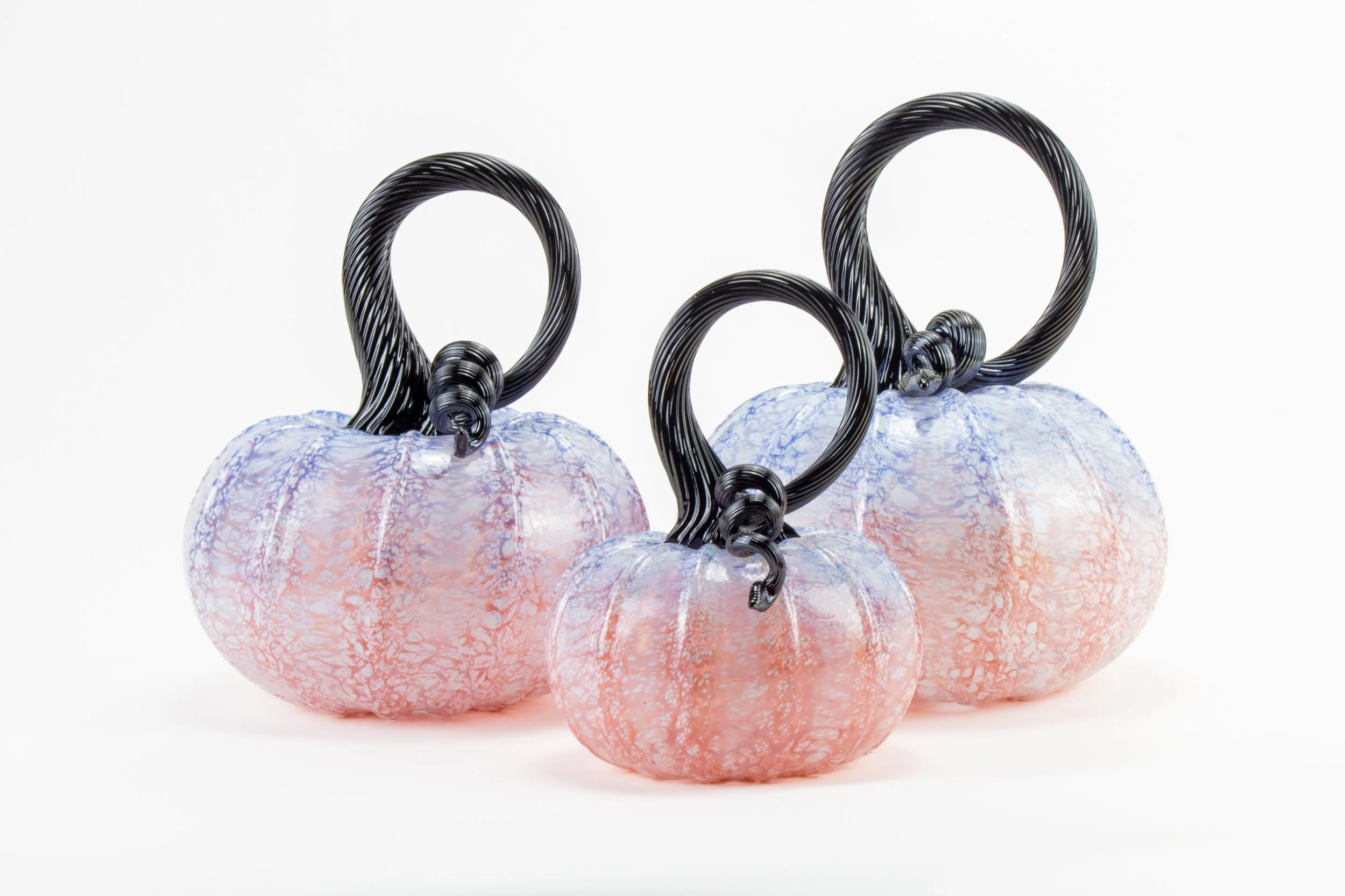 Online Pumpkins 2026-10.jpg