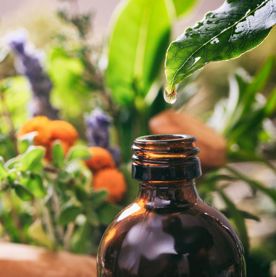 NATUROPATHIC MEDICINE