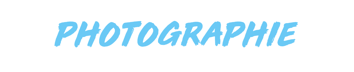 Artboard Copy 229.png