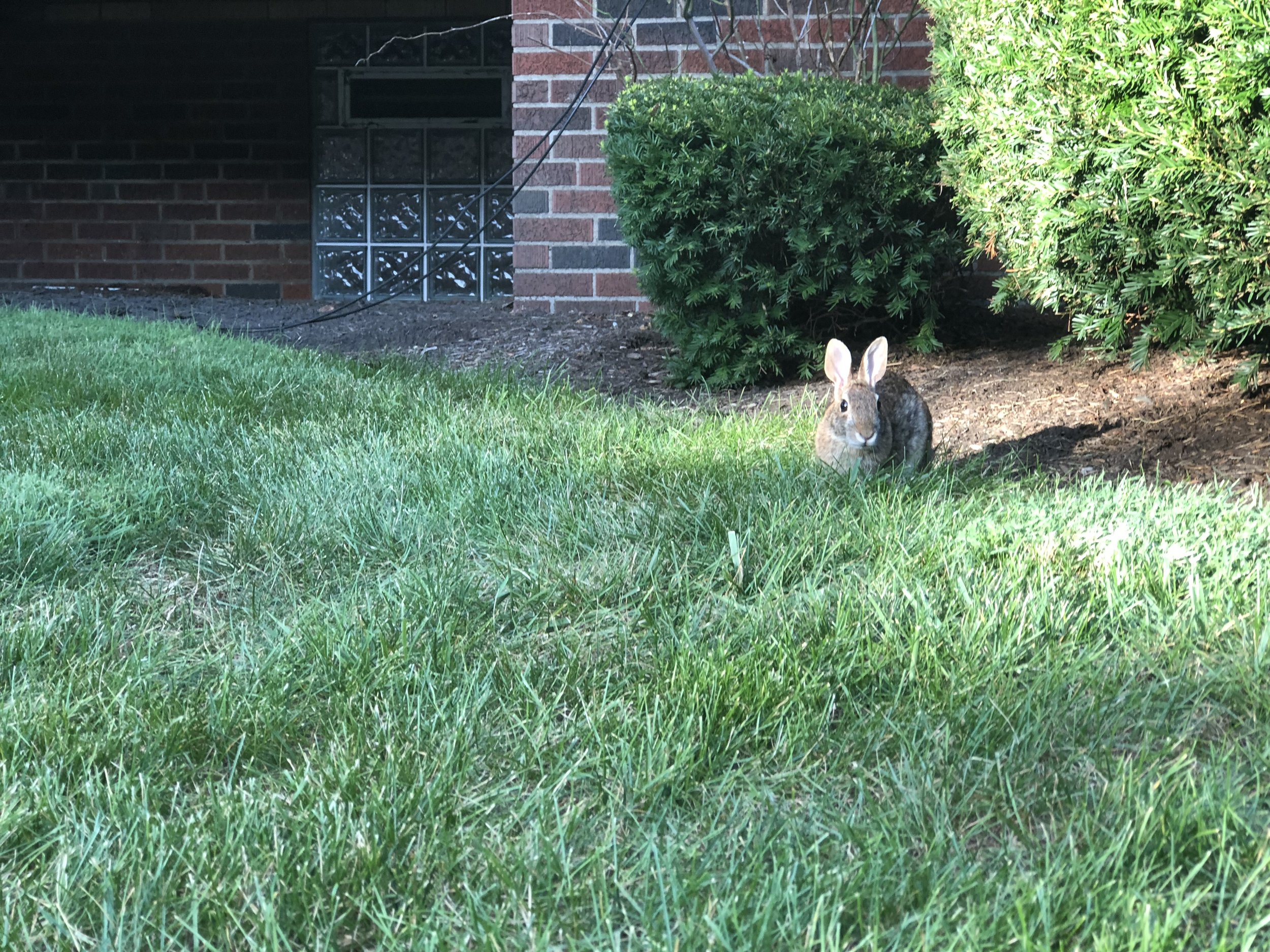 Rule of Thirds 1.JPG