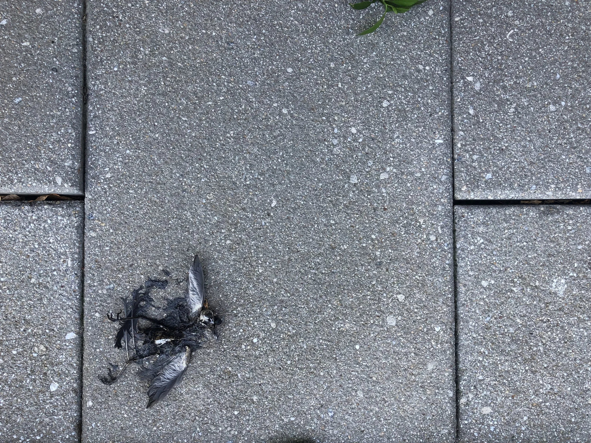 Rule of Thirds 3.jpg