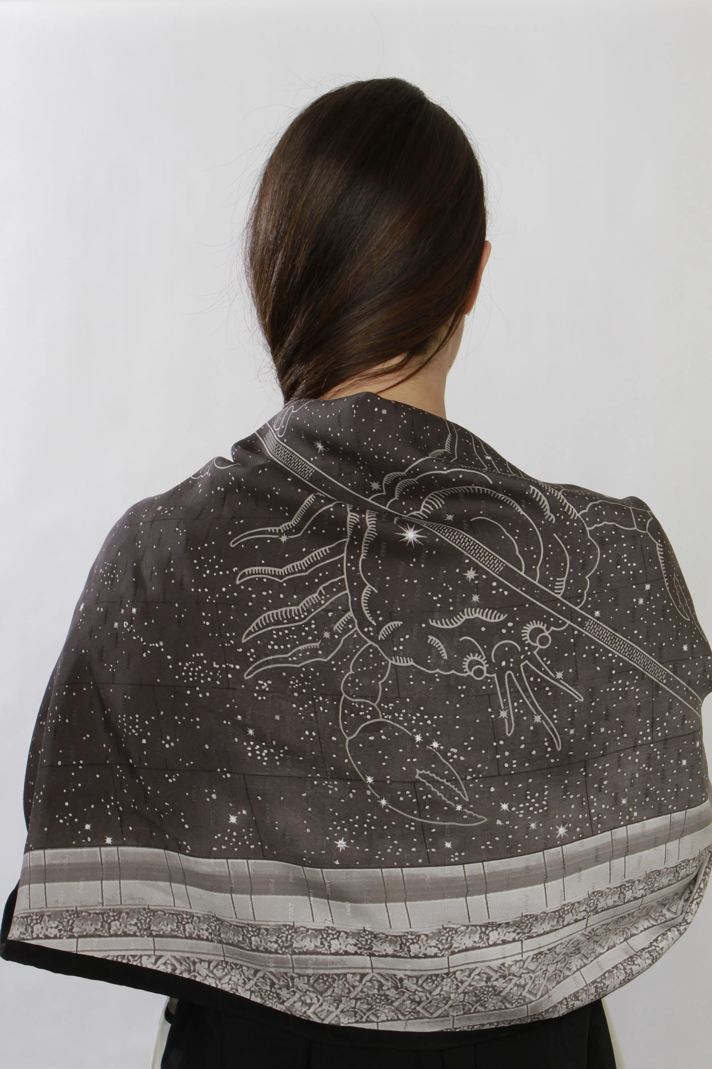 PBNY Scarf - Vanderbilt Design (Tuxedo)