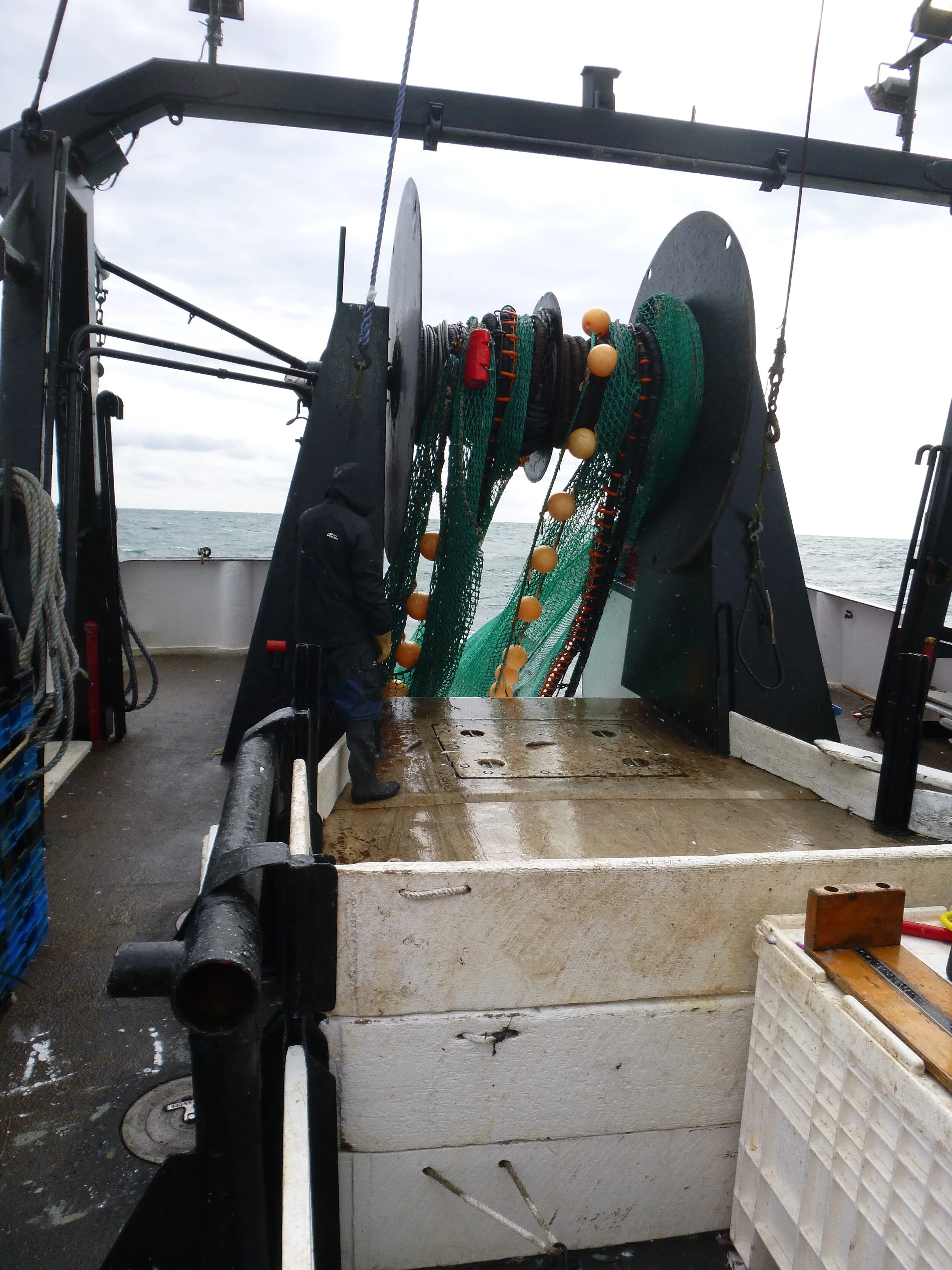 Bottom Trawl Survey