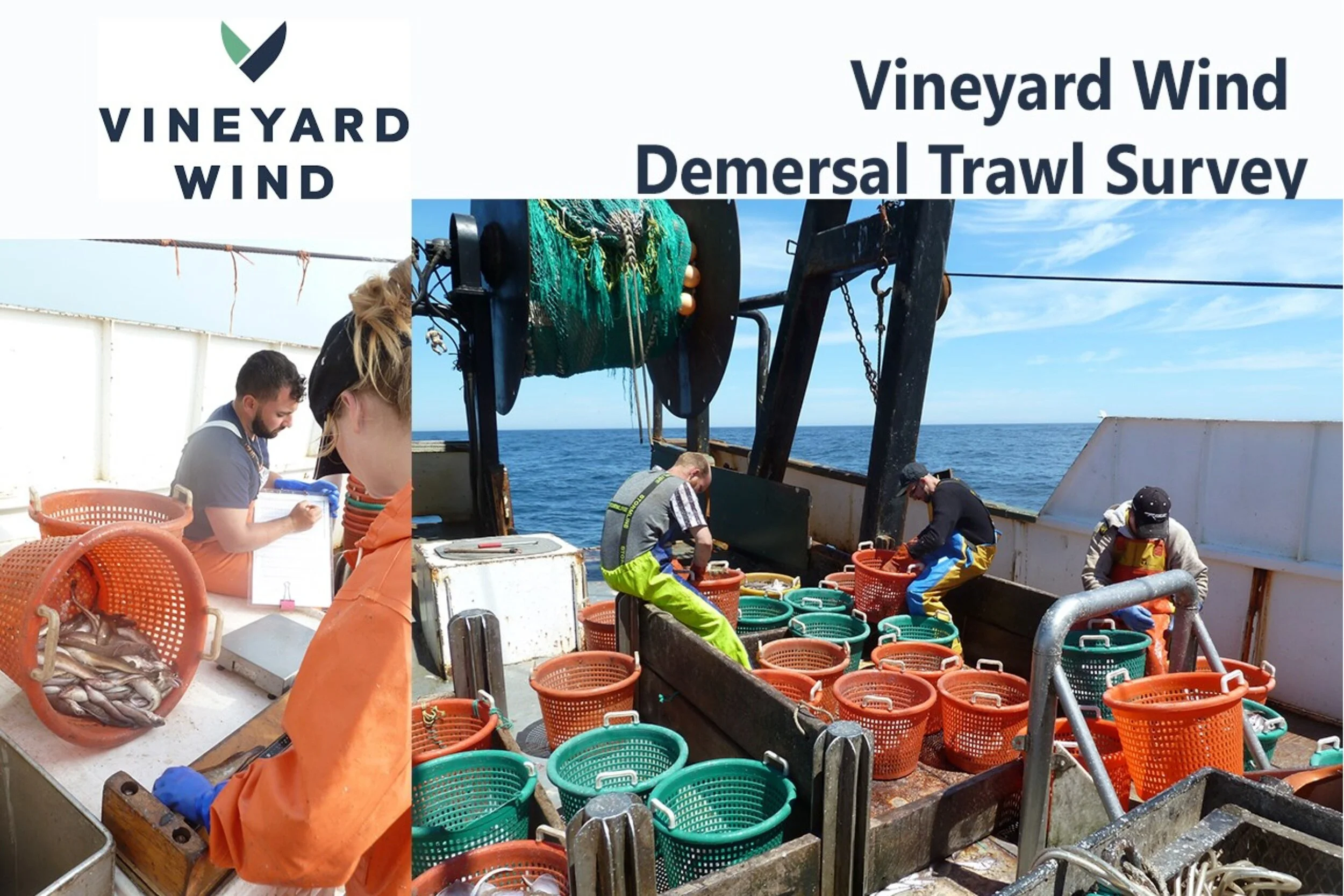 VW1 Trawl Survey Spring 2019