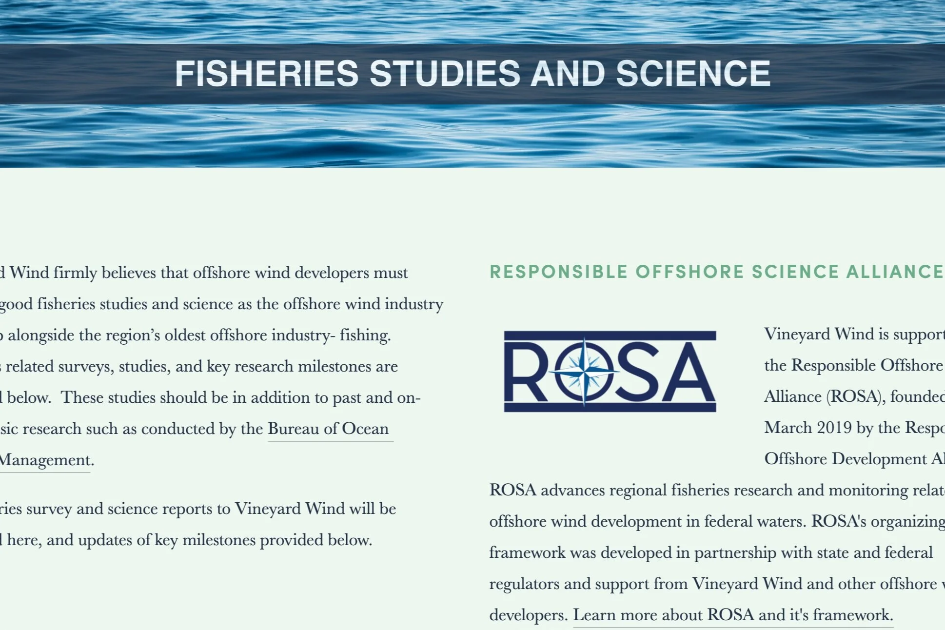 Vineyard Wind Releases First Batch of Pre-Construction Fisheries Science