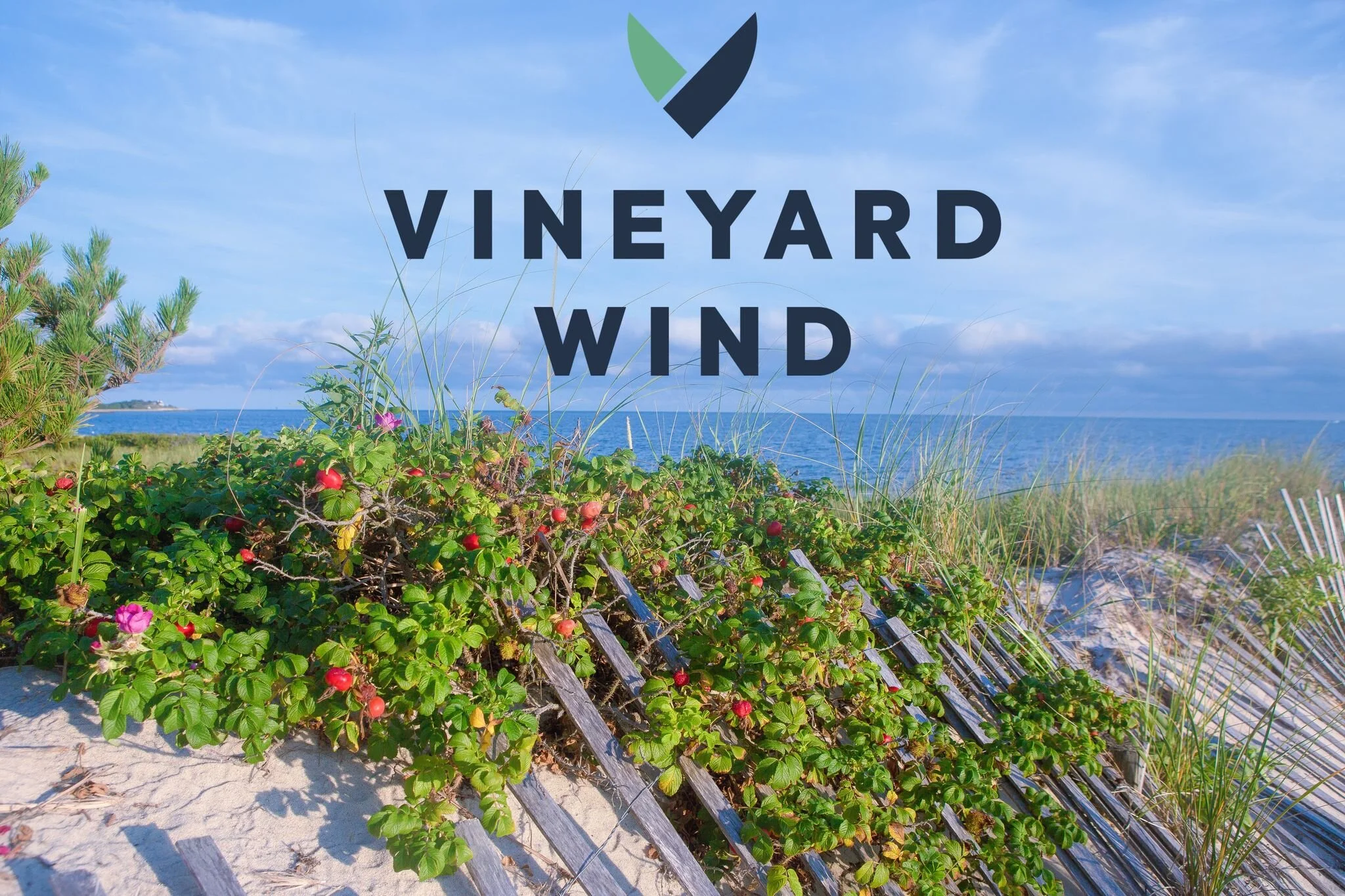 Vineyard Wind Completes Technical Review, Requests BOEM to Continue Federal Permitting Process