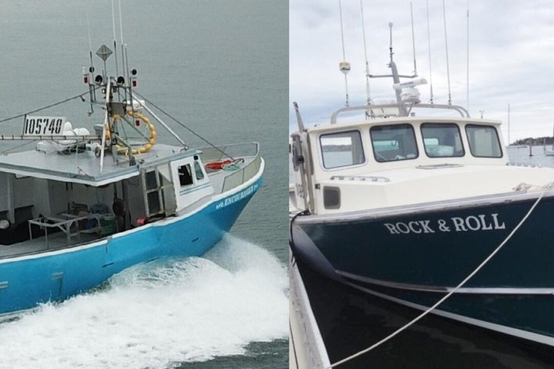 3RD ANNUAL PLANKTON SURVEY (#39)