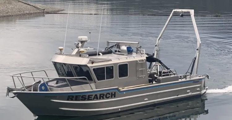 GEOPHYSICAL SURVEYS (#52)